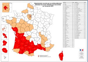 Carte infestation termites Ille-et-Vilaine